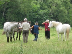 2008_06_Aveyron_028.jpg
