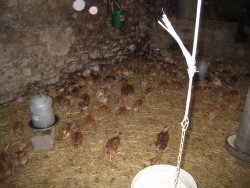 2008_06_Aveyron_095.jpg