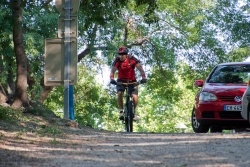 VTT15_009.jpg