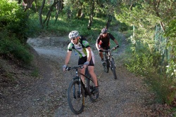VTT15_014.jpg