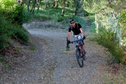 VTT15_015.jpg