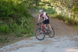 VTT15_023.jpg