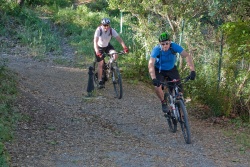 VTT15_024.jpg