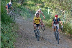VTT15_027.jpg