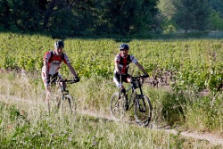 VTT15_031.jpg