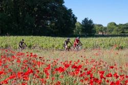 VTT15_035.jpg
