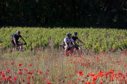 VTT15_037.jpg