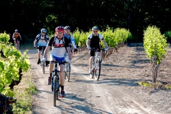 VTT15_039.jpg
