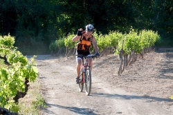 VTT15_040.jpg