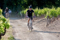 VTT15_042.jpg