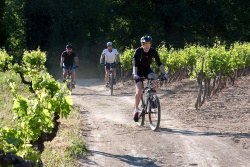 VTT15_043.jpg