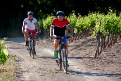 VTT15_046.jpg