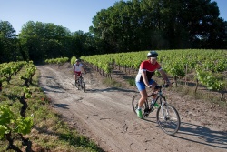 VTT15_047.jpg