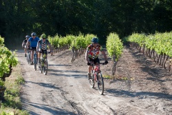 VTT15_048.jpg