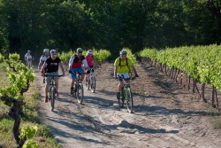 VTT15_049.jpg