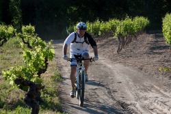 VTT15_050.jpg