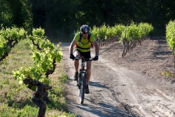 VTT15_051.jpg