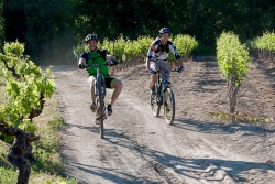 VTT15_052.jpg