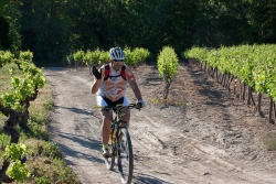 VTT15_054.jpg