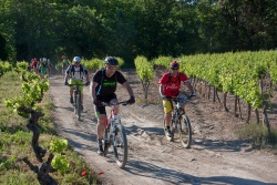 VTT15_055.jpg