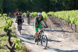 VTT15_056.jpg