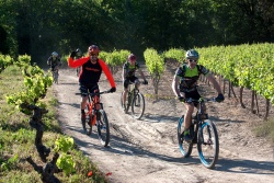 VTT15_058.jpg