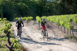 VTT15_059.jpg