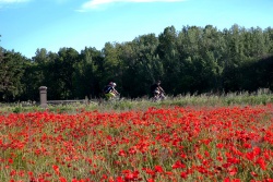 VTT15_060.jpg