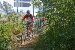 VTT15_065.jpg