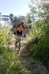 VTT15_071.jpg