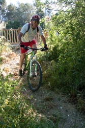 VTT15_080.jpg