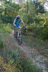 VTT15_085.jpg