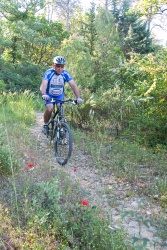 VTT15_086.jpg