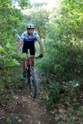 VTT15_088.jpg