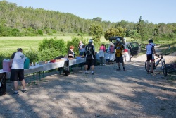 VTT15_091.jpg
