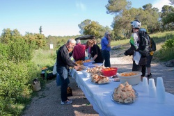 VTT15_093.jpg