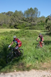 VTT15_103.jpg