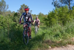 VTT15_105.jpg