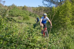 VTT15_107.jpg