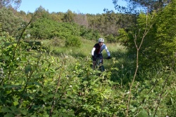 VTT15_108.jpg