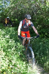 VTT15_112.jpg