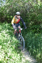VTT15_113.jpg