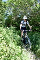 VTT15_115.jpg