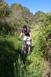 VTT15_116.jpg