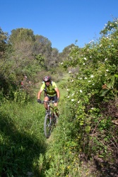 VTT15_117.jpg