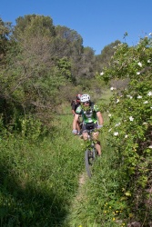 VTT15_118.jpg