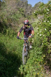 VTT15_119.jpg
