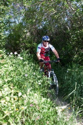 VTT15_120.jpg