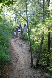 VTT15_123.jpg