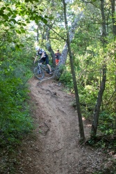 VTT15_125.jpg